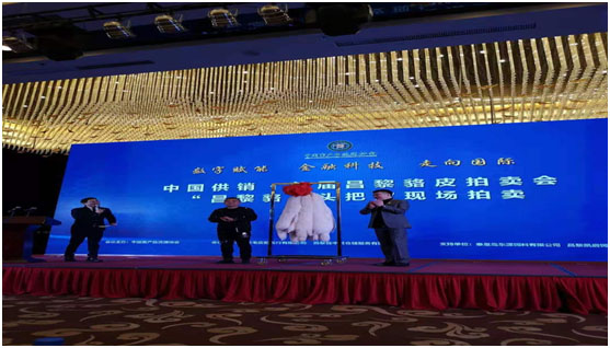 1608022814114145.jpg 2.jpg