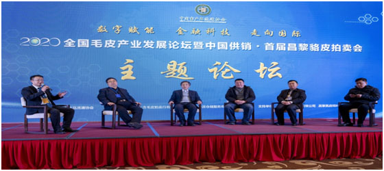 1608022835991054.jpg 3.jpg