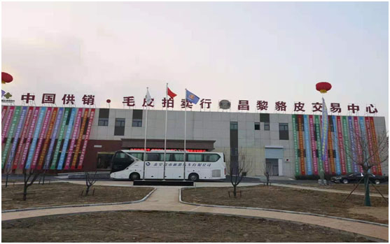 1608022866319856.jpg 6.jpg